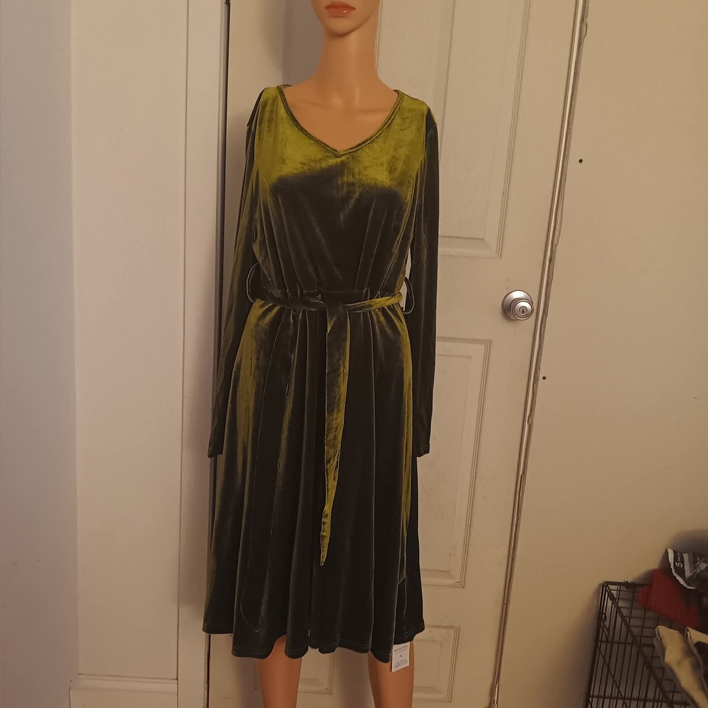 Elegant Velvet Green Dress